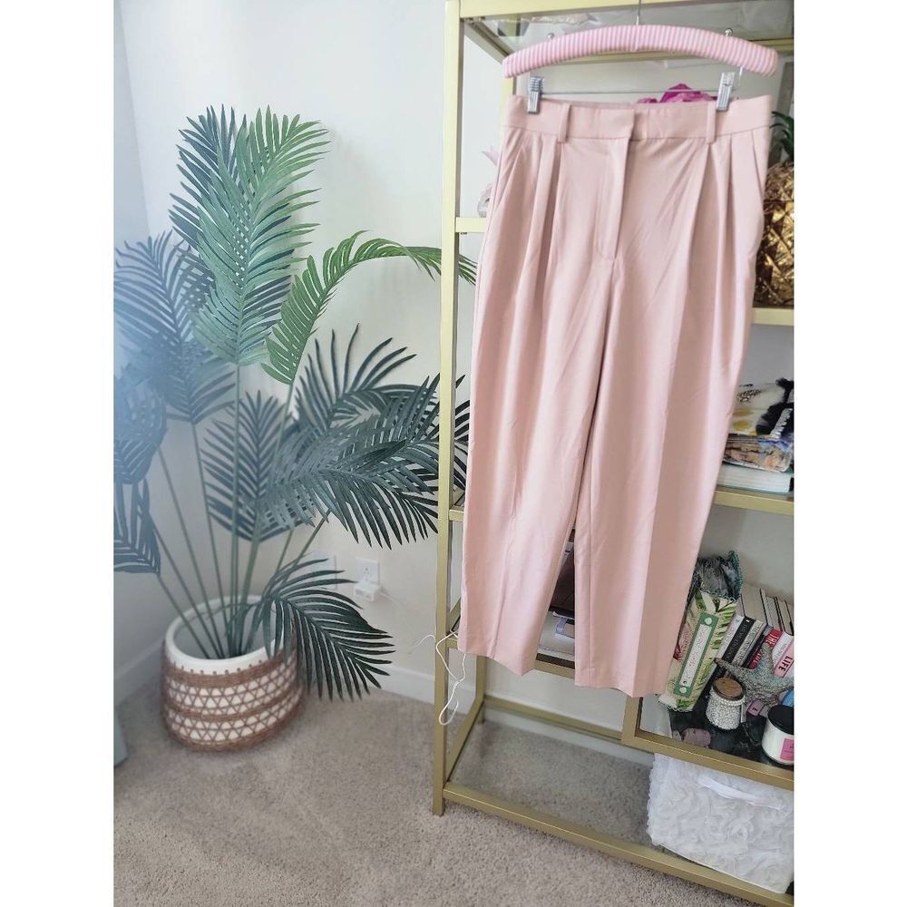 H&M Blush Pink Tailored Pleat Front Trousers